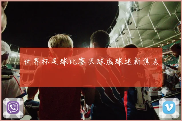 世界杯足球比赛买球成球迷新焦点