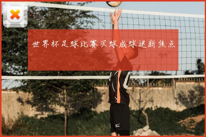 世界杯足球比赛买球成球迷新焦点