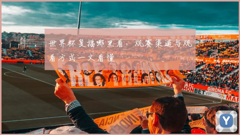 世界杯复播哪里看,观赛渠道与观看方式一文看懂