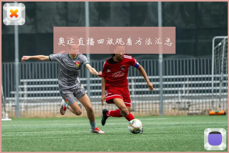 奥运直播回放观看方法汇总