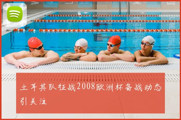 土耳其队征战2008欧洲杯备战动态引关注