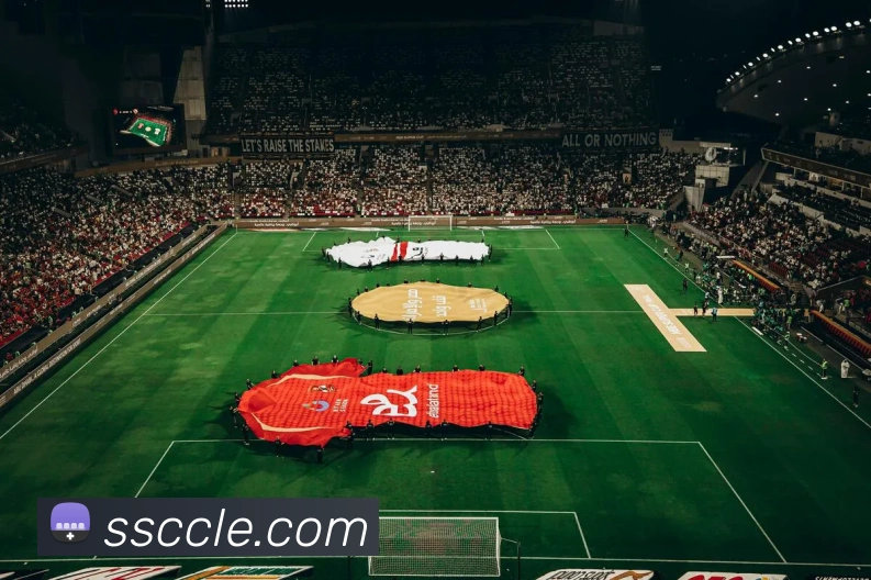 世界杯app官网服务体系